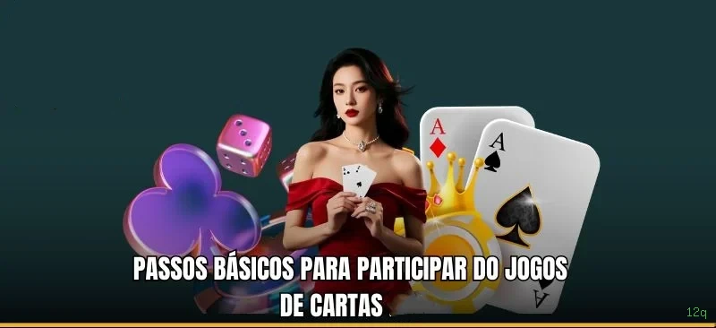 Guias de instalação da 12q
